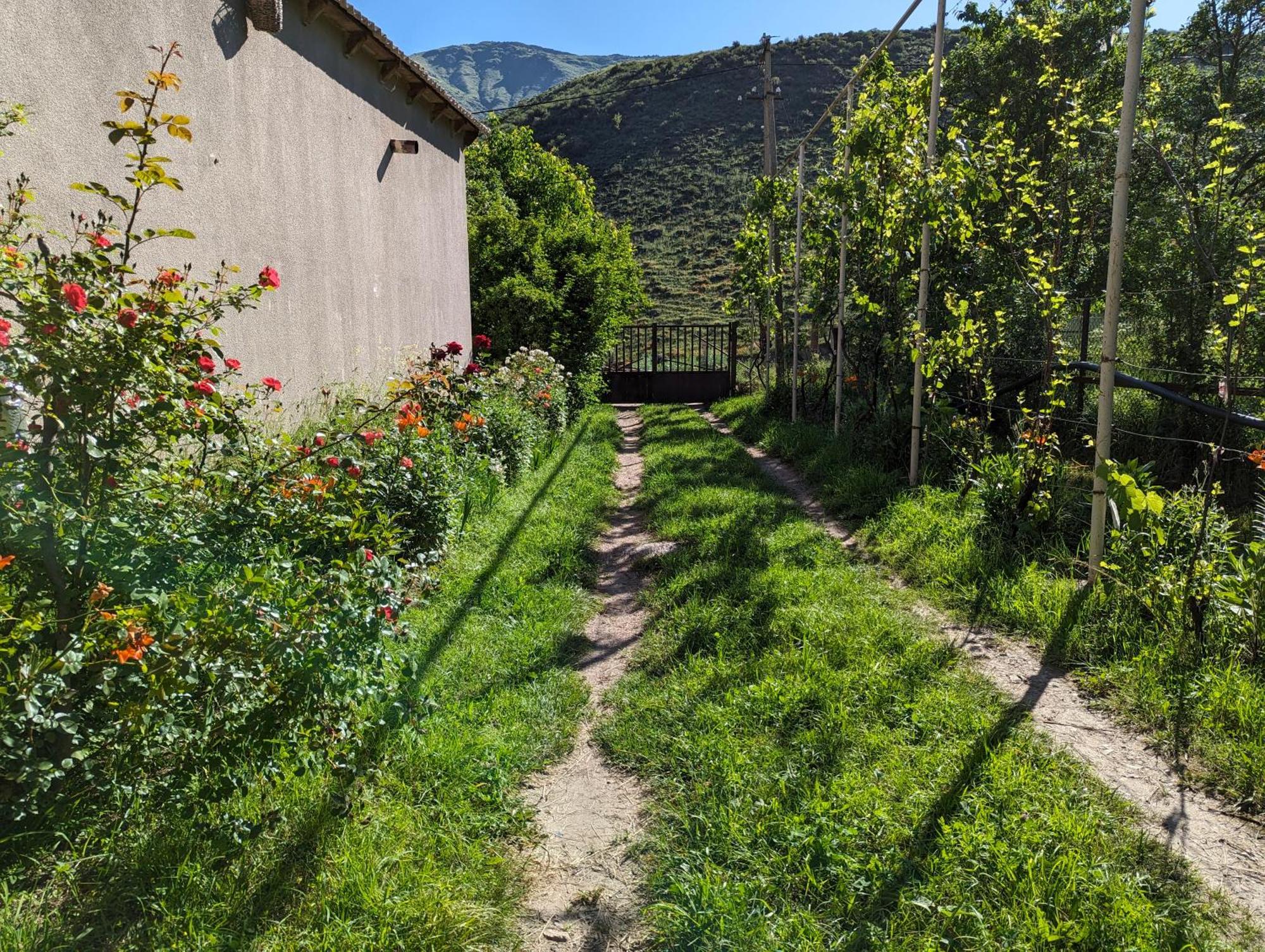 Bee House Hotel Pia Exterior photo