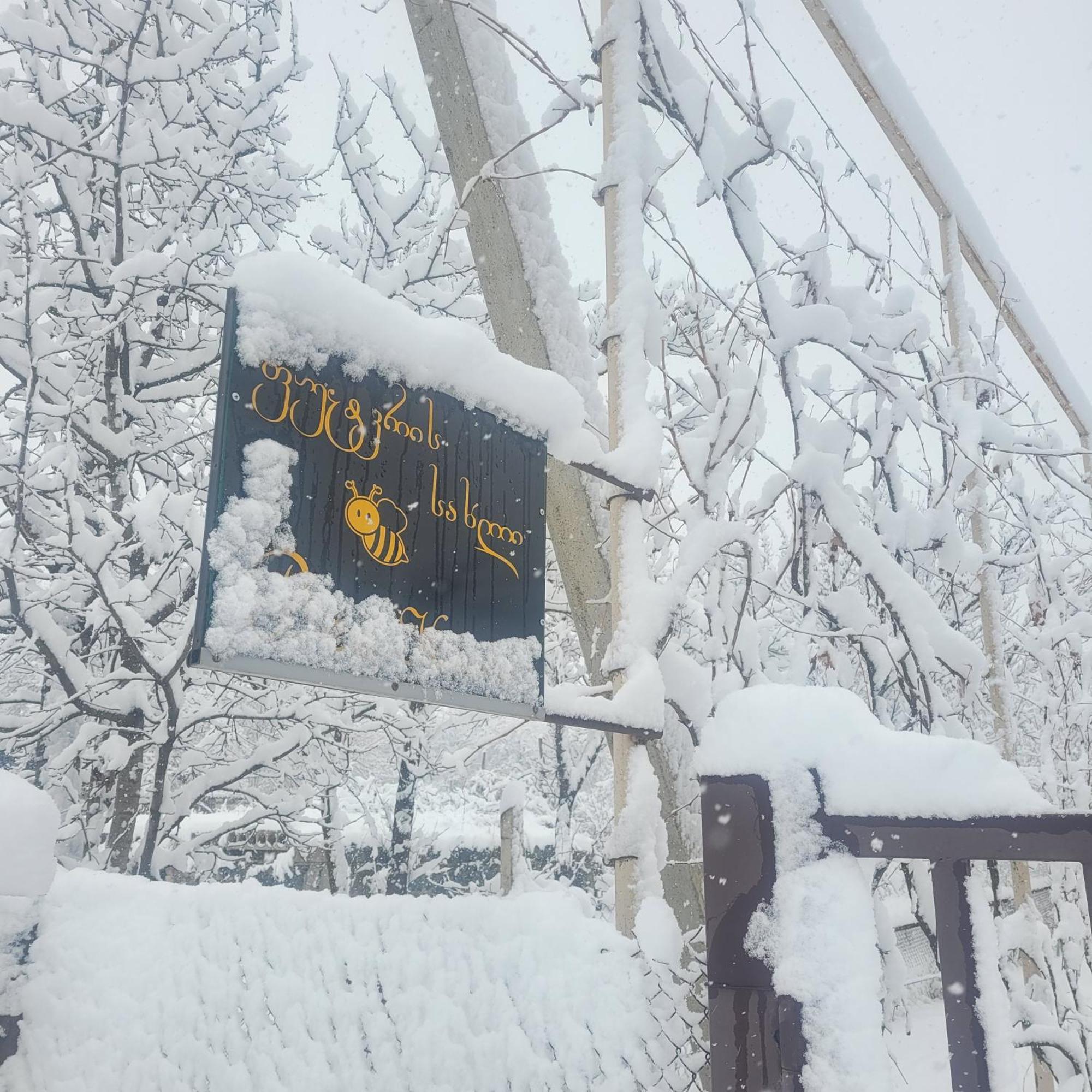 Bee House Hotel Pia Exterior photo