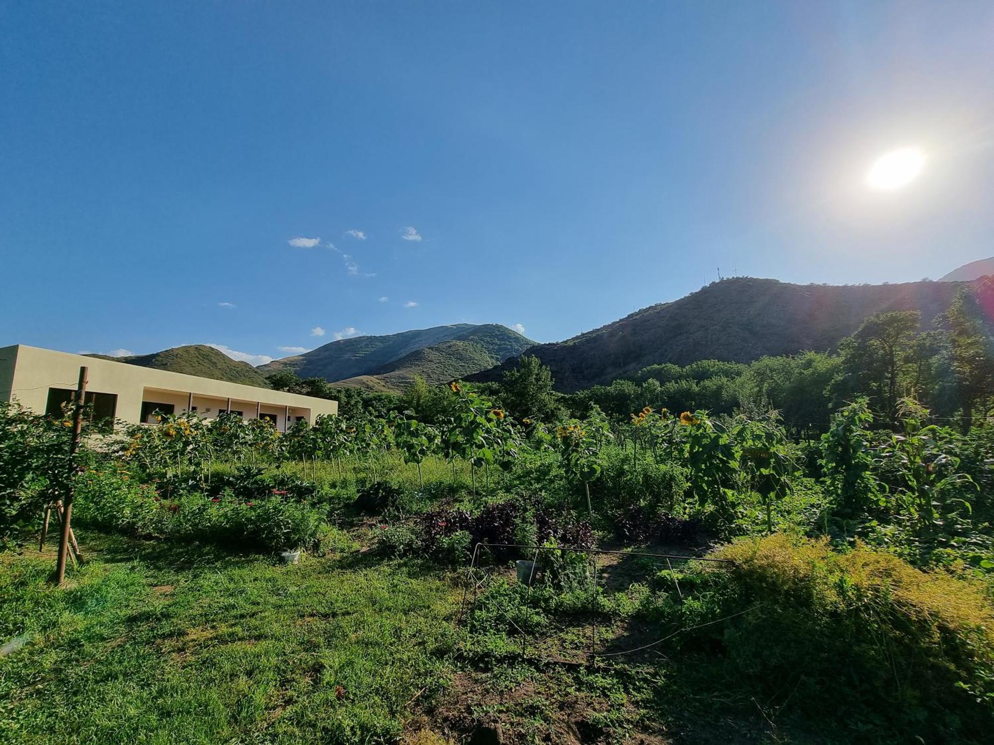 Bee House Hotel Pia Exterior photo
