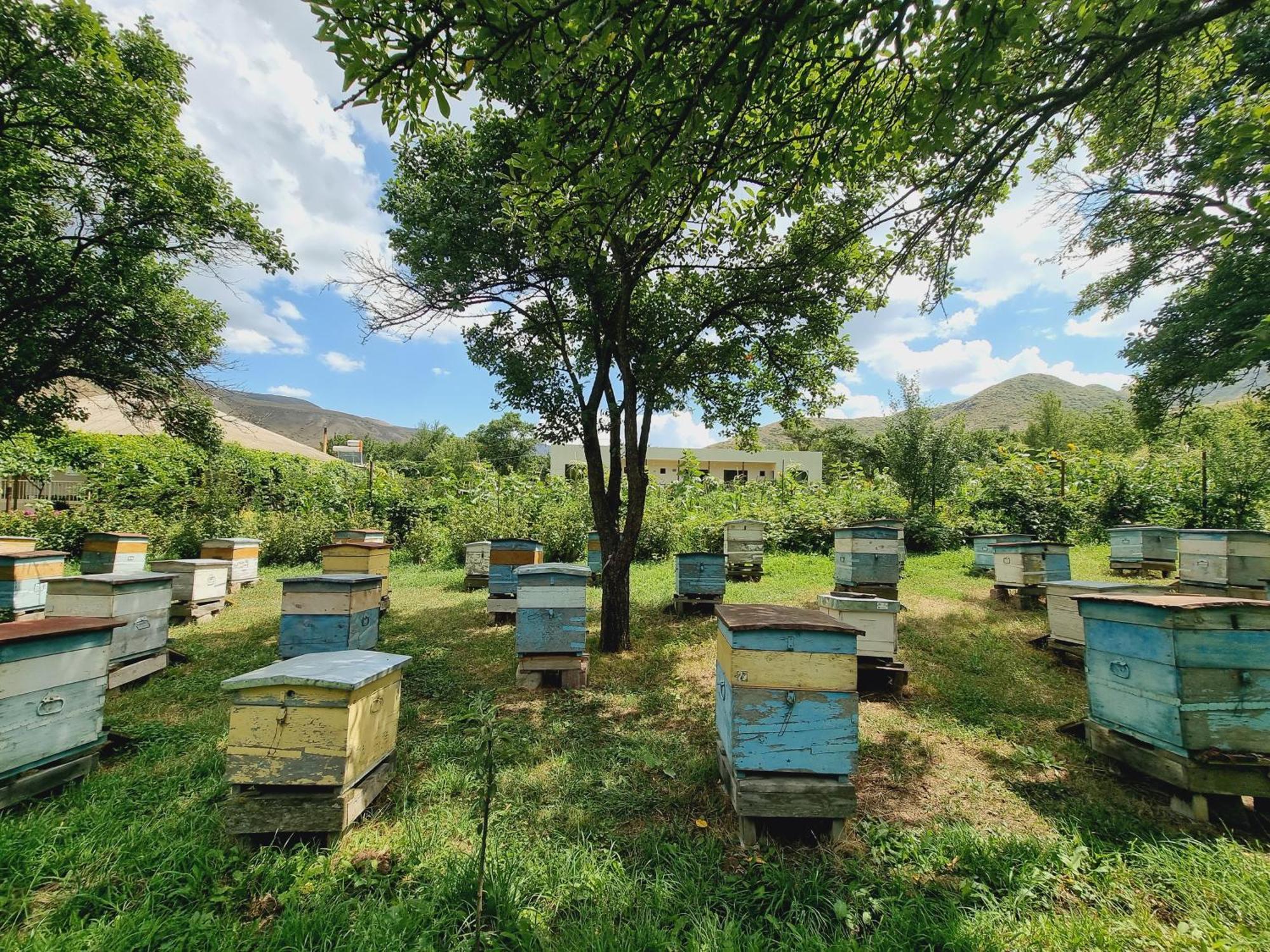 Bee House Hotel Pia Exterior photo