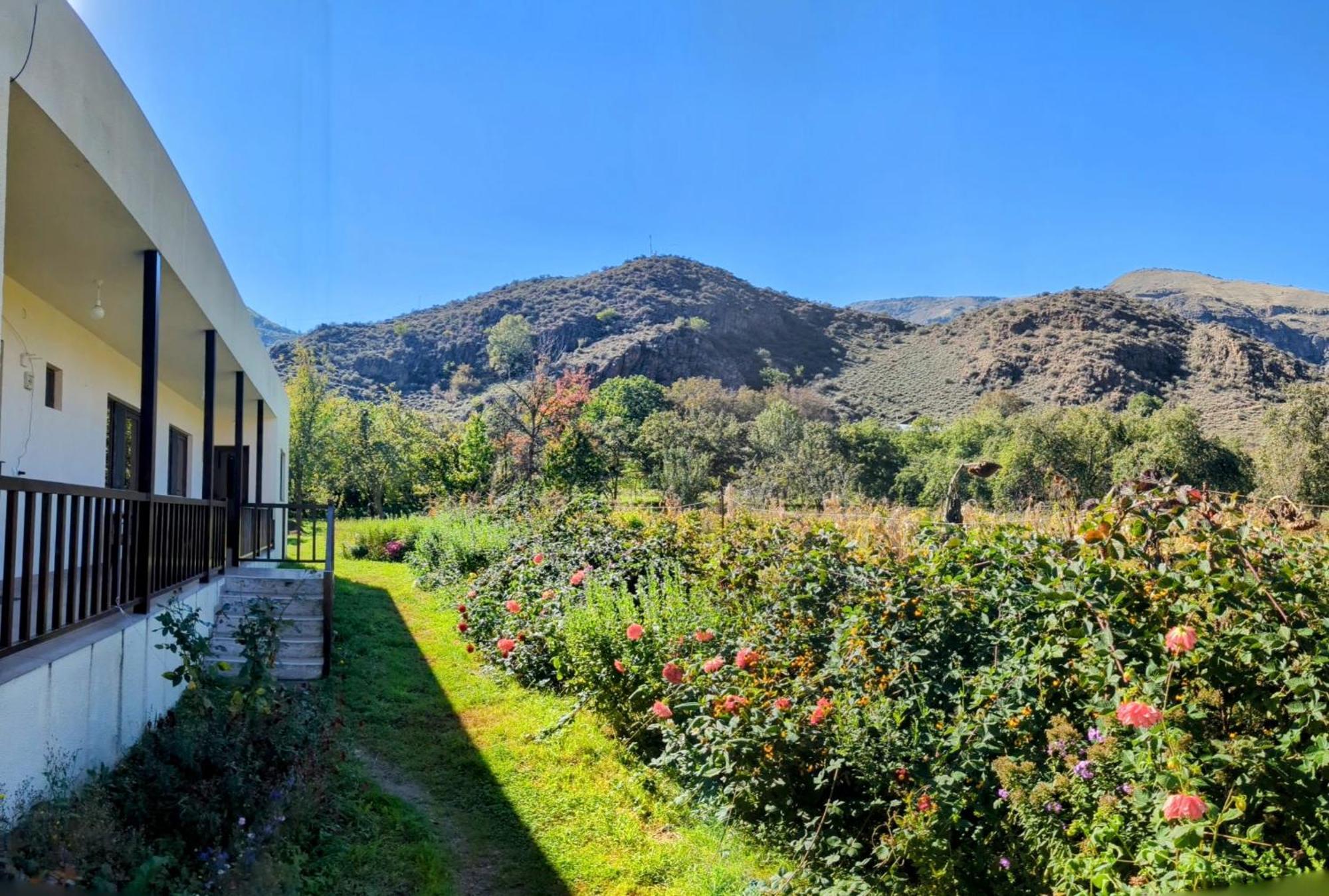 Bee House Hotel Pia Exterior photo