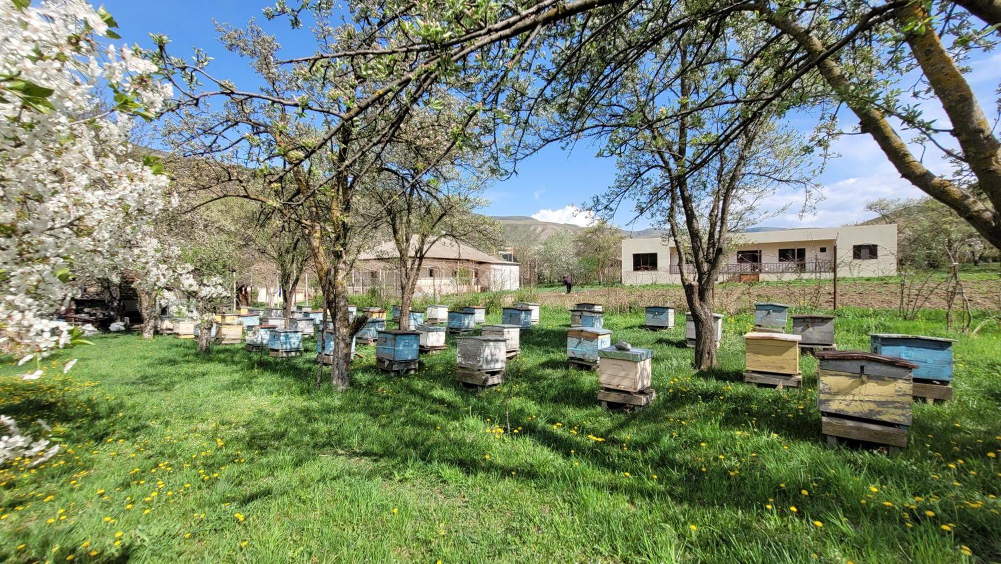 Bee House Hotel Pia Exterior photo